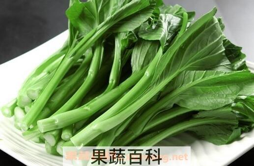 怎么挑选择广东菜心