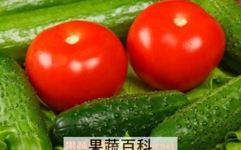 黄瓜和西红柿可以在一起吃吗 黄瓜和西红柿能够一起吃吗