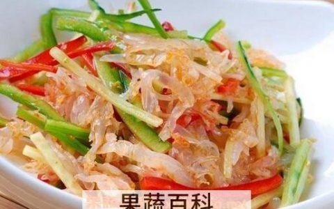 海蜇皮的功效与吃法禁忌 海蜇皮的功效与吃法大全
