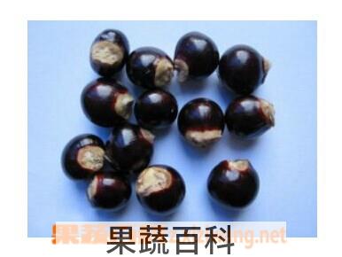 果蔬百科龙眼核