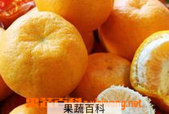 果蔬百科芦柑和橘子的区别