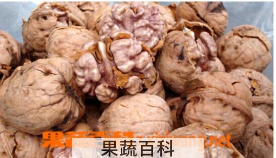 果蔬百科核桃