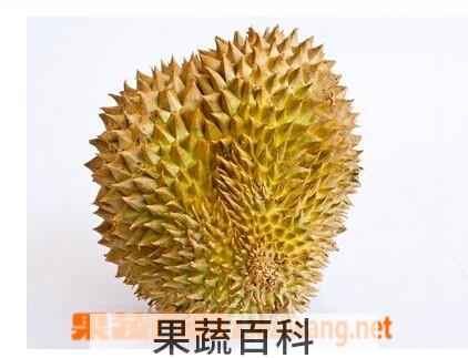 果蔬百科榴莲