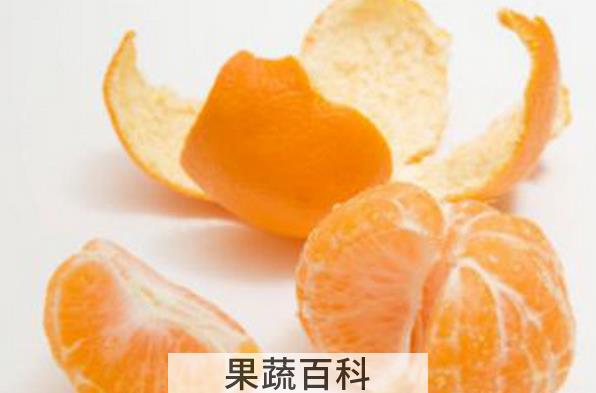 果蔬百科鲜桔子皮泡水