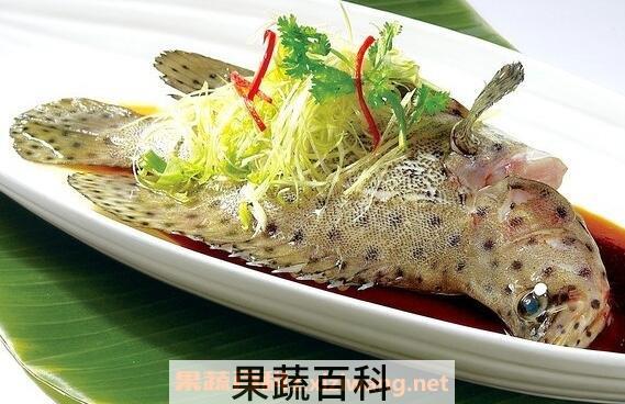 石斑鱼的功效与作用