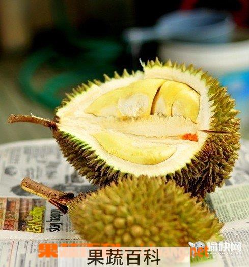 果蔬百科榴莲