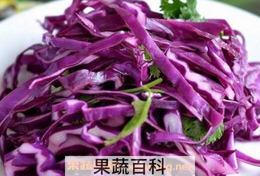 紫甘蓝的营养价值与功效