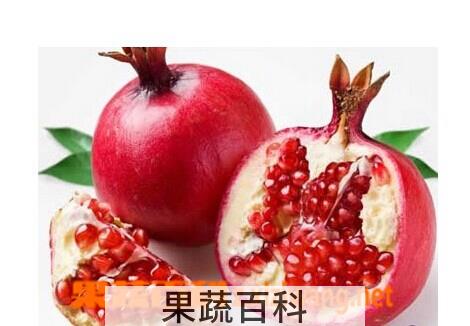 果蔬百科吃石榴籽