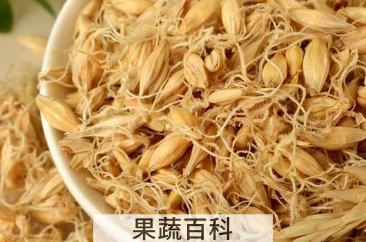 果蔬百科谷芽的妙用 谷芽的常见用法