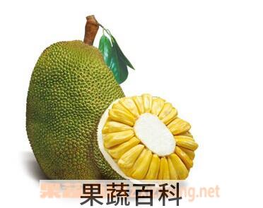 果蔬百科榴莲和菠萝蜜哪个贵