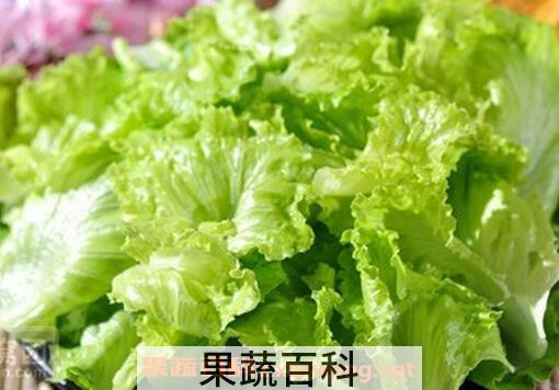 什么蔬菜减肥效果好