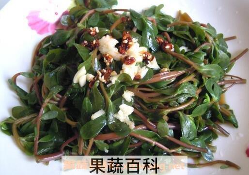野菜马齿苋的吃法与功效