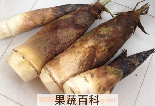  春笋是发物吗