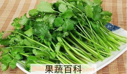 香菜的神奇功效与作用