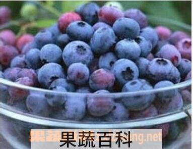果蔬百科蓝莓
