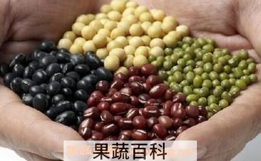 豆类食材有哪些 