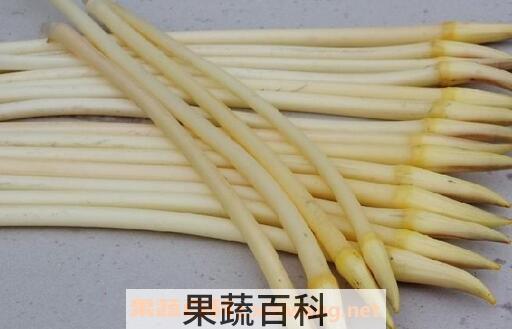 藕带的功效与作用