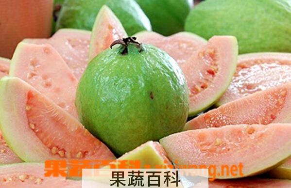 果蔬百科番石榴