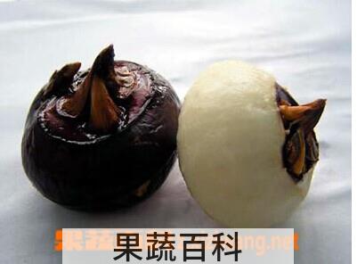 果蔬百科马蹄
