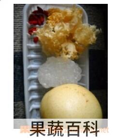 果蔬百科冰糖银耳雪