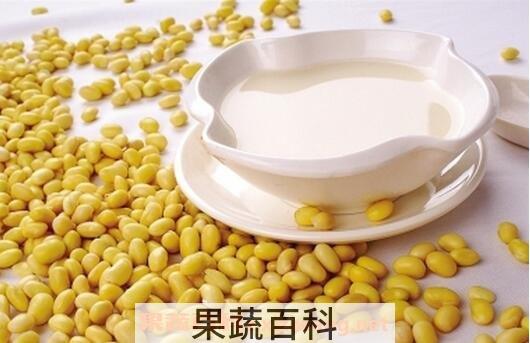 豆浆喝多了会怎么样