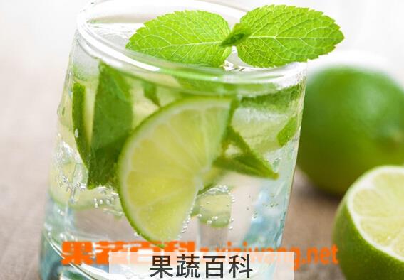 果蔬百科柠檬茶