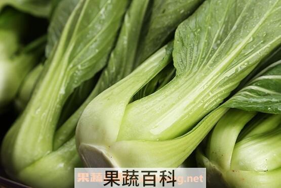上海青是什么 上海青的功效与作用