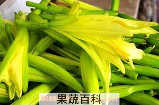 黄花菜有毒吗