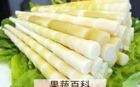 方竹笋的营养价值及功效 方竹笋的功效和作用