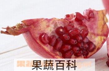 果蔬百科石榴