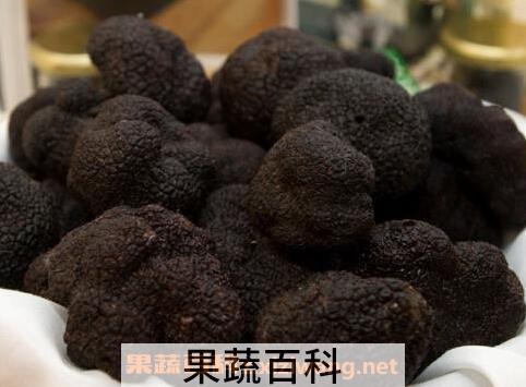松露是什么 松露的功效与作用
