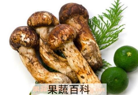 松茸的功效与作用