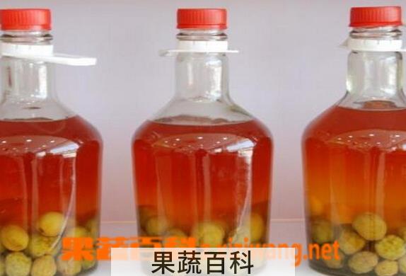 果蔬百科李子浸酒