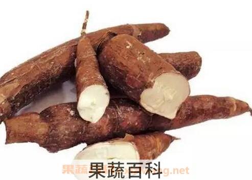 木薯有毒吗