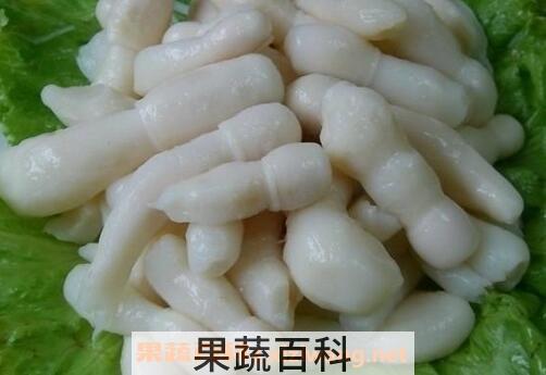 鸡腿菇的功效与作用