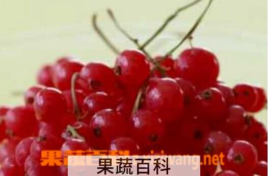 果蔬百科吃什么水果可以美白