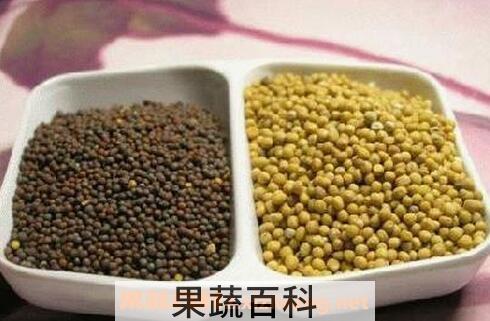 芥菜子的功效与作用