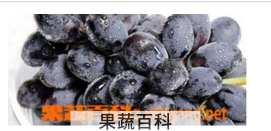 果蔬百科黑加李