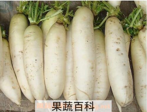 白萝卜不能和什么一起吃