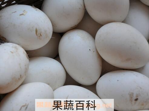 鹅蛋的营养价值