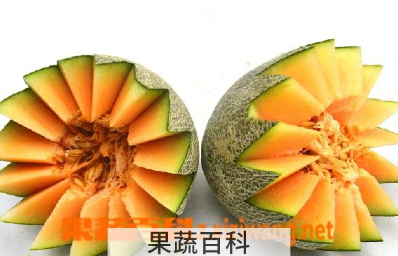果蔬百科西州蜜瓜皮