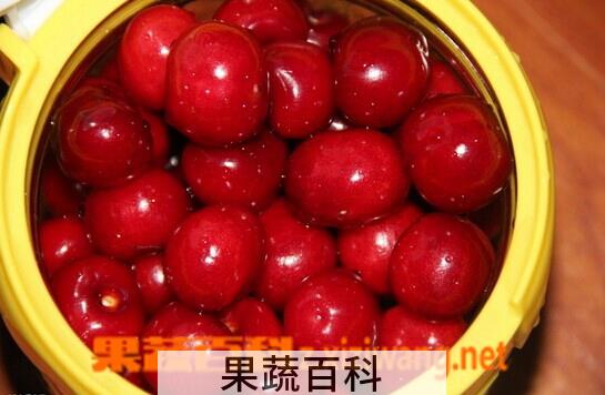 果蔬百科醋泡樱桃