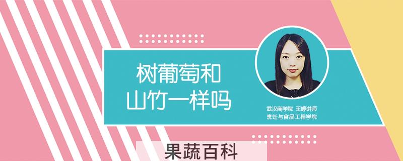树葡萄和山竹一样吗