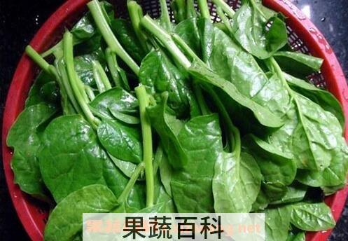 潺菜的功效与作用