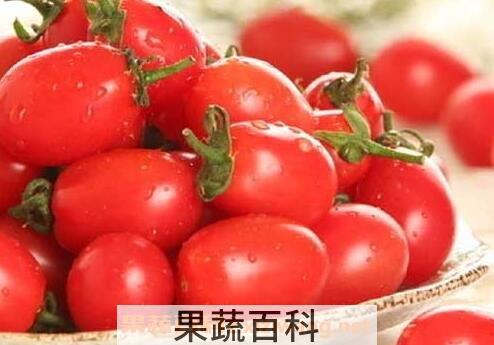 圣女果的功效与作用