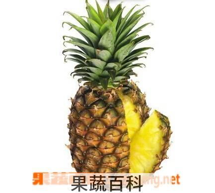 果蔬百科菠萝