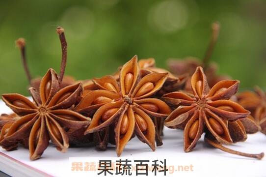 八角是什么 八角的功效与作用