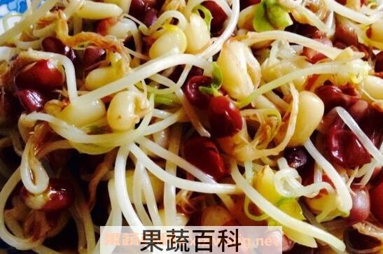 红豆芽的营养价值