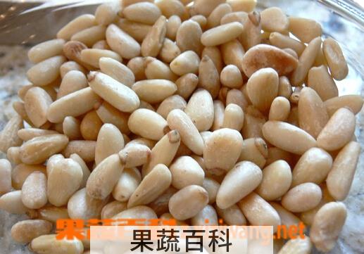 果蔬百科松子仁