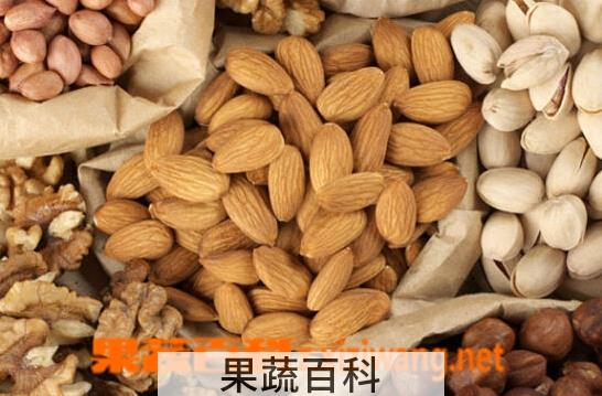 果蔬百科坚果